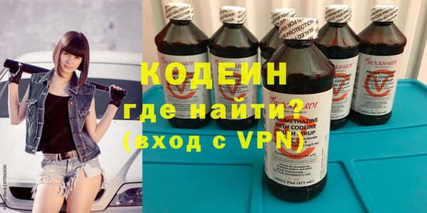 мдпв Кодинск