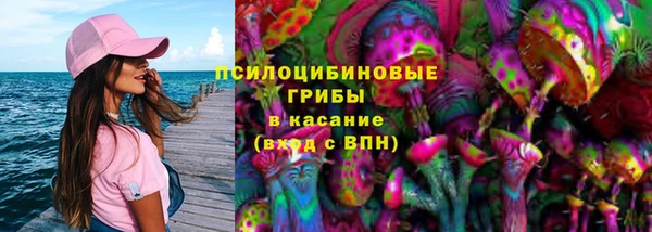 таблы Козловка