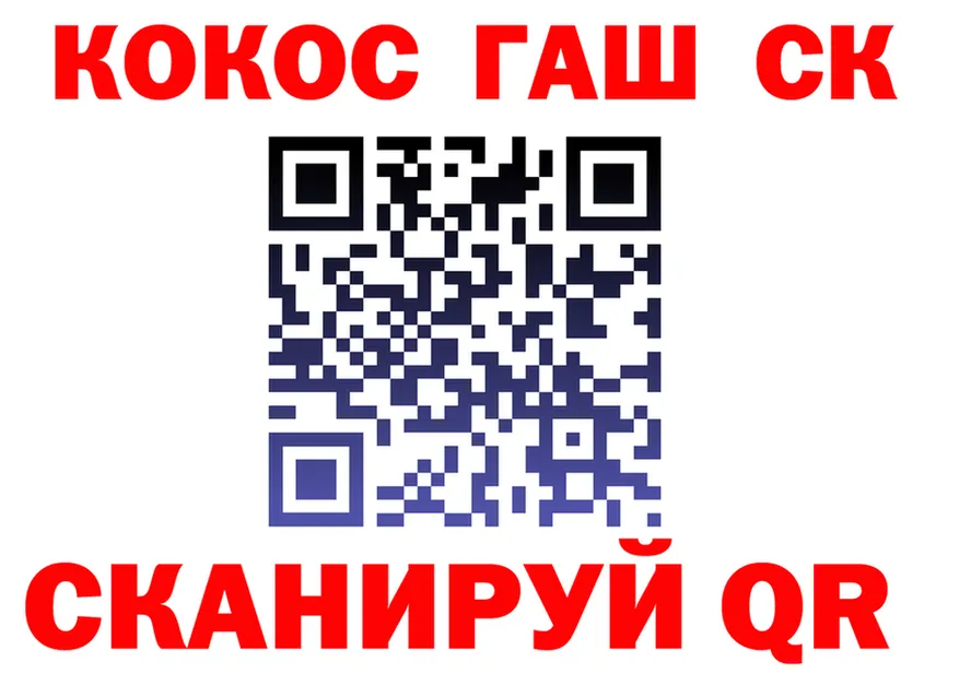 АМФ VHQ сайт площадка мега Ноябрьск