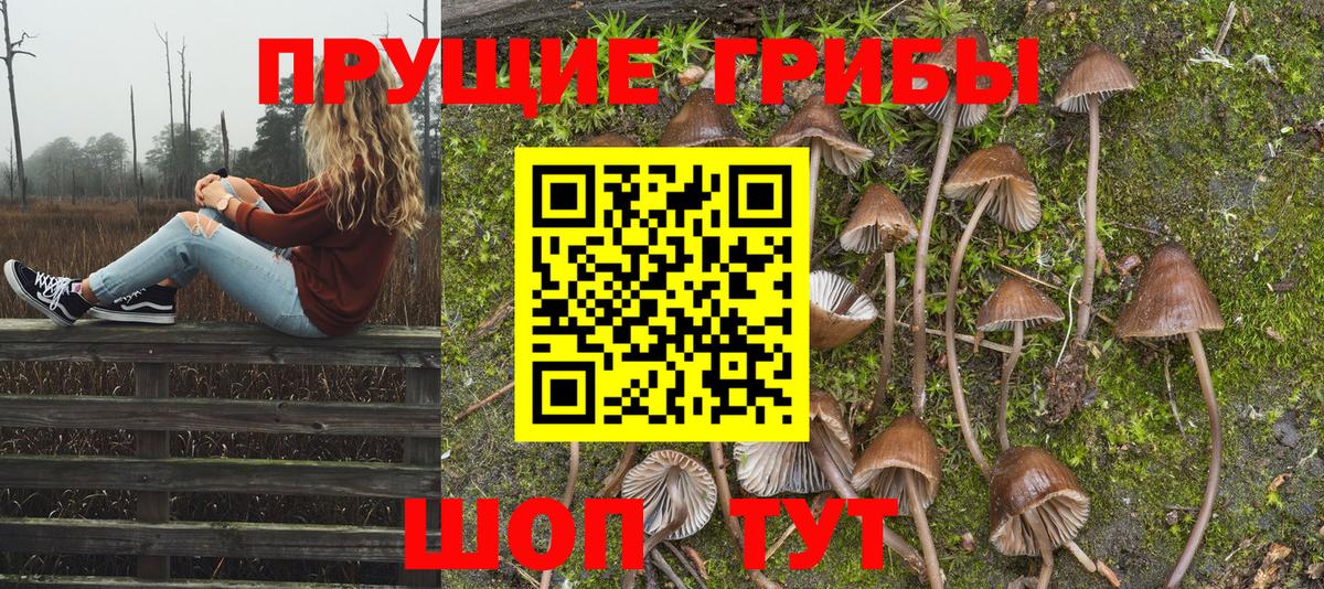 Псилоцибиновые грибы MAGIC MUSHROOMS  Ноябрьск  Псилоцибиновые грибы Psilocybine cubensis 