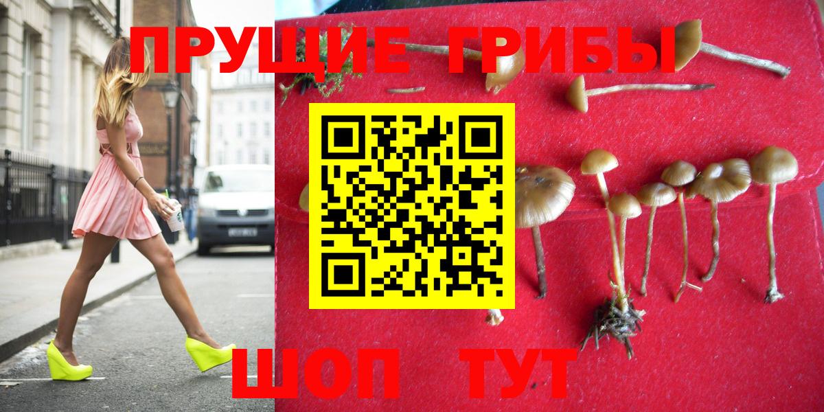 Гашиш  Codein  Канабис  COCAIN  АМФ   NBOMe  МАРИХУАНА  Где найти наркотики?  Ноябрьск  МЕФ кристаллы 