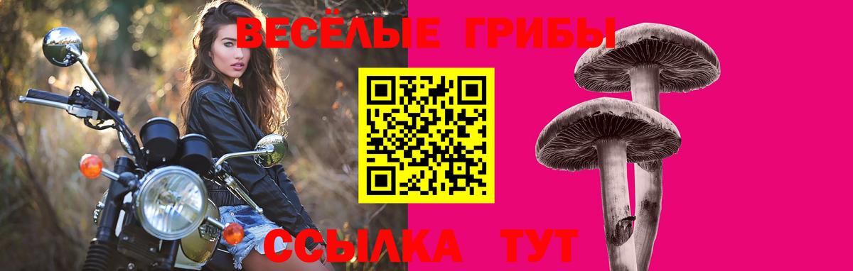 Ноябрьск  Псилоцибиновые грибы мухоморы  Псилоцибиновые грибы ЛСД  Вход с VPN 