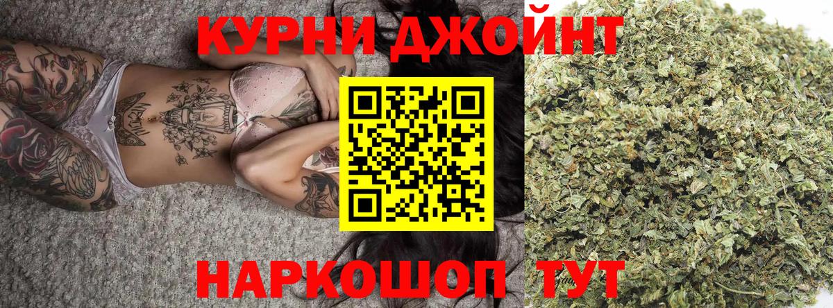 Псилоцибиновые грибы Ноябрьск